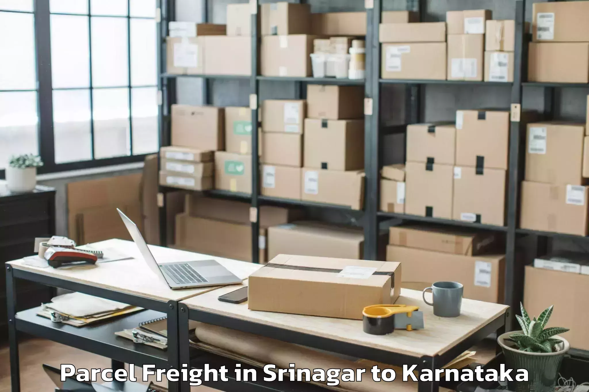 Top Srinagar to Srinivaspur Parcel Freight Available